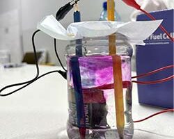 Науката в действие: среща на учениците с д-р Миглена Славова